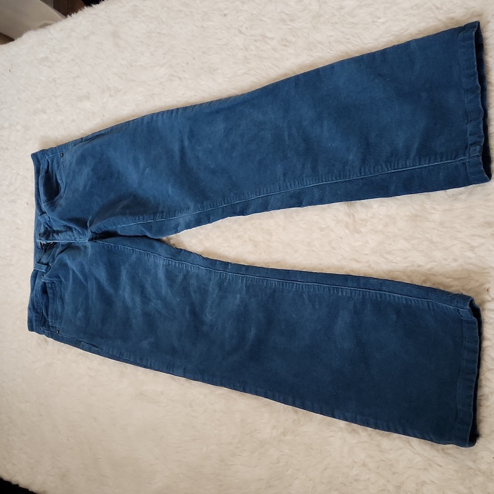 Patagonia Organic Cotton Straight Leg Velvet Pants Size 28(6)  Teal